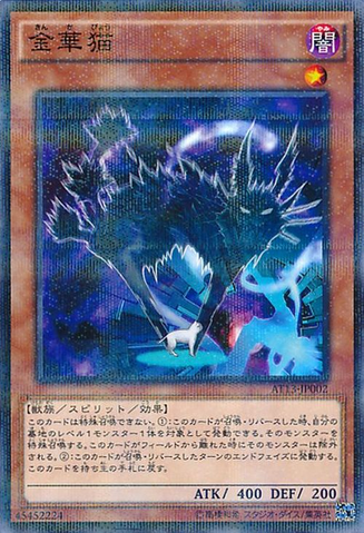 File:Kinkabyo-AT13-JP-NPR.png