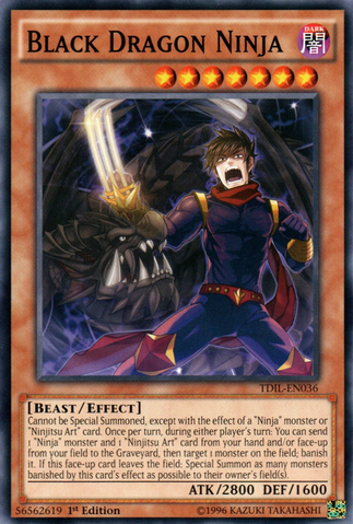 File:BlackDragonNinja-TDIL-EN-C-1E.png