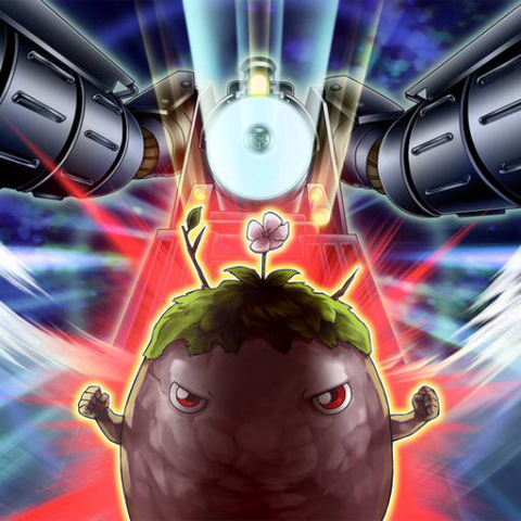 File:SynchroGift-TF06-JP-VG.png