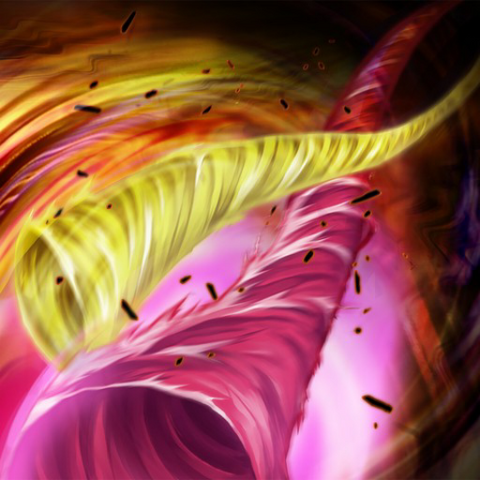 File:DoubleCyclone-TF05-JP-VG.png