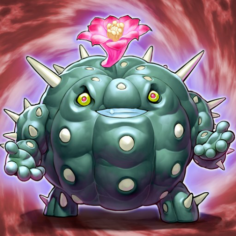 File:CactusBouncer-TF05-JP-VG.png
