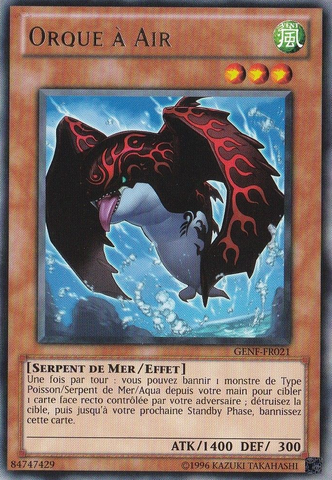 File:Airorca-GENF-FR-R-UE.png