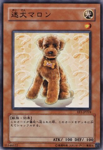 File:OutstandingDogMarron-EE1-JP-C.jpg
