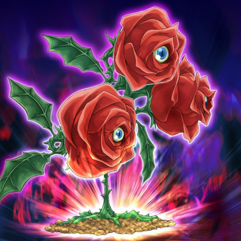 File:RevivalRose-TF05-JP-VG.png