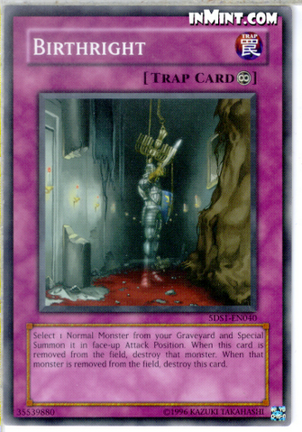 File:Birthright-5DS1-EN-C-UE.png