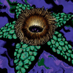 ArmoredStarfish-TF04-JP-VG
