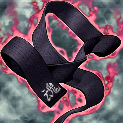 File:LegendaryBlackBelt-TF04-JP-VG.jpg