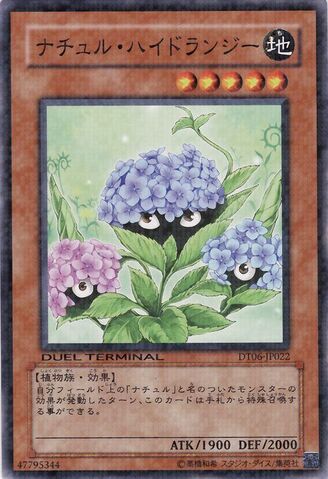 File:NaturiaHydrangea-DT06-JP-DNPR-DT.jpg