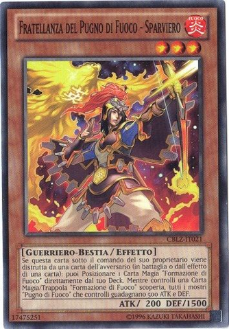 File:BrotherhoodoftheFireFistHawk-CBLZ-IT-C-UE.png