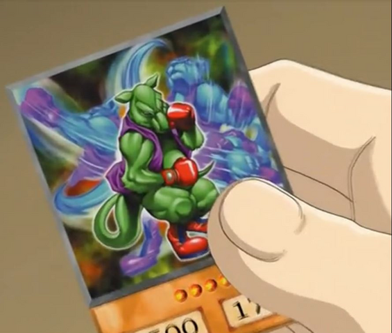 File:DesKangaroo-EN-Anime-GX.png