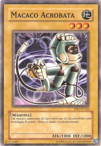 Arquivo:AcrobatMonkey-DR1-PT-C-UE.jpg
