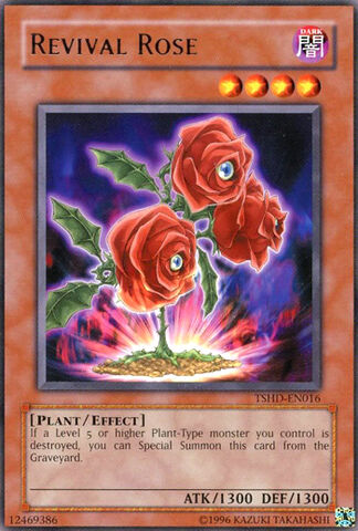File:RevivalRose-TSHD-EN-R-UE.jpg