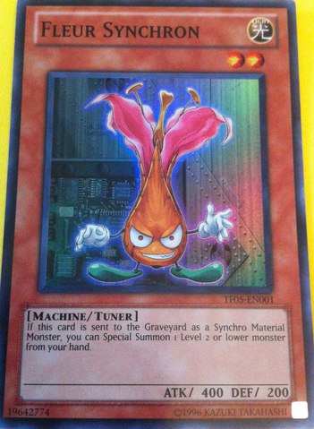 File:FleurSynchron-TF05-EU-SR-UE.png