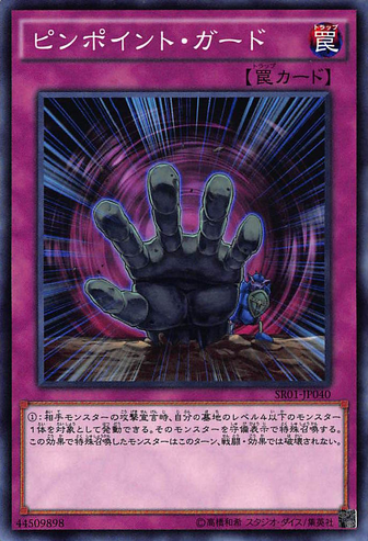 File:PinpointGuard-SR01-JP-C.png