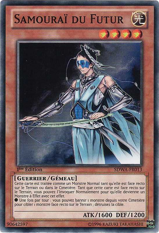 File:FutureSamurai-SDWA-FR-C-1E.png