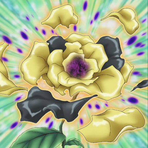 File:FleurdeVertiges-TF06-JP-VG.png