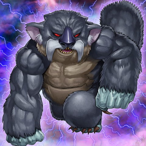 File:KoaloKoala-TF05-JP-VG.png