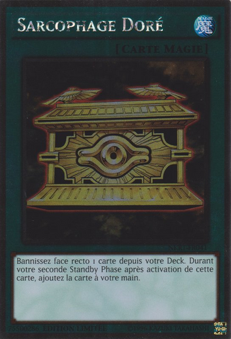 File:GoldSarcophagus-NKRT-FR-PlR-LE.png