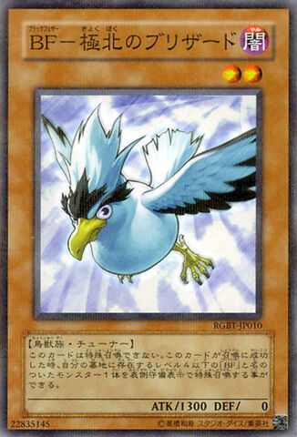 File:BlackwingBlizzardtheFarNorth-RGBT-JP-NPR.jpg