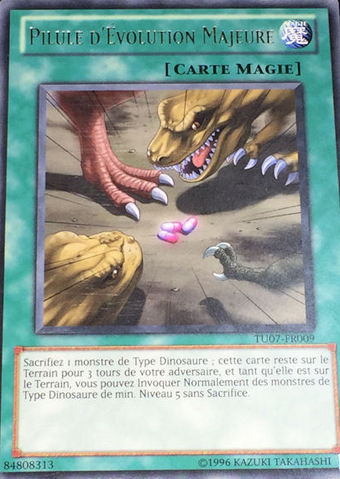 File:BigEvolutionPill-TU07-FR-R-UE.png