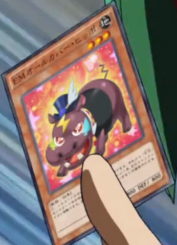 File:PerformapalFlipHippo-JP-Anime-AV.png