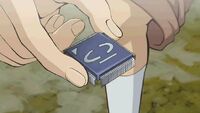 DuelRunnerChip.jpg