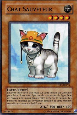 File:RescueCat-DR3-FR-C-UE.png