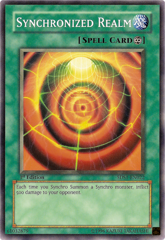 File:SynchronizedRealm-5DS1-EN-C-1E.png