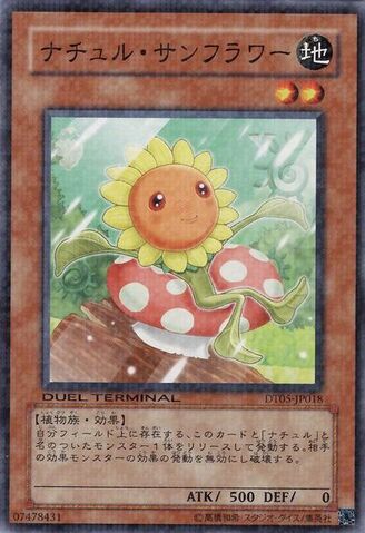 File:NaturiaSunflower-DT05-JP-DNPR-DT.jpg