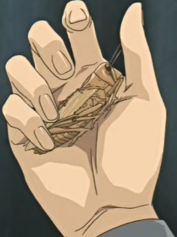 File:SwarmofLocusts-JP-Anime-DM-NC.png