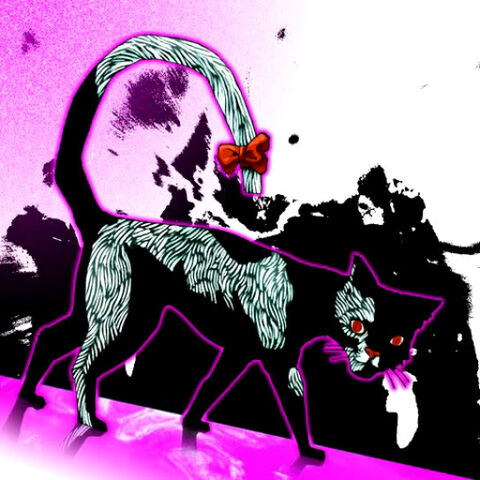 File:DarkCatwithWhiteTail-TF04-JP-VG.jpg