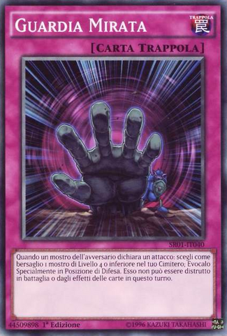 File:PinpointGuard-SR01-IT-C-1E.png