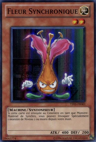 File:FleurSynchron-TF05-FR-SR-UE.png
