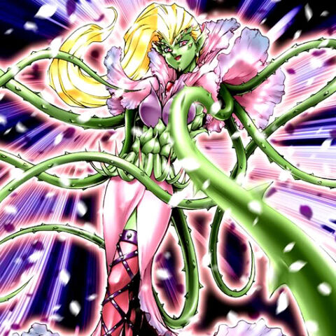 File:PrickleFairy-TF04-JP-VG.jpg