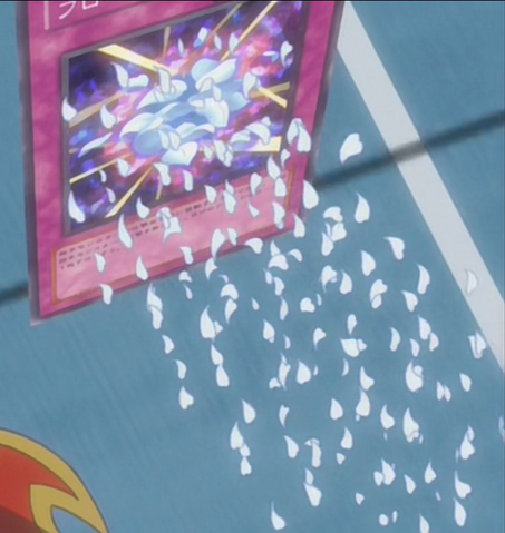 File:FloralShield-JP-Anime-5D-NC.png