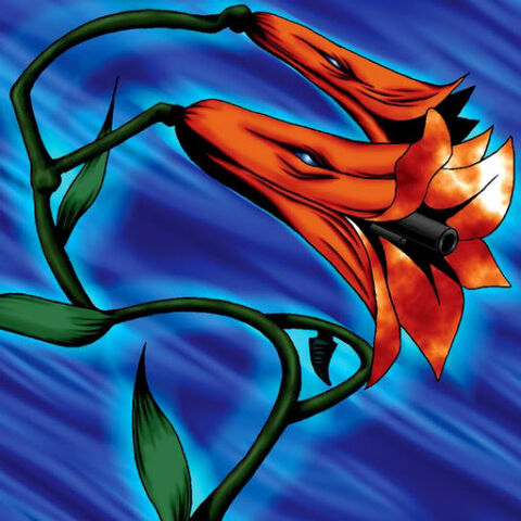 File:Barrel Lily (1).jpg