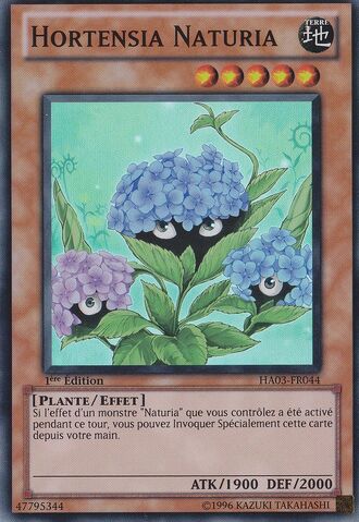 File:NaturiaHydrangea-HA03-FR-SR-1E.jpg