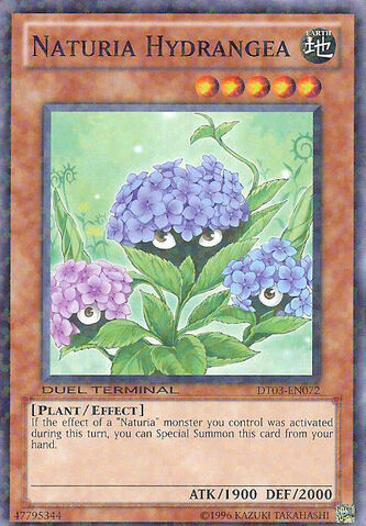 File:NaturiaHydrangea-DT03-EN-DNPR-DT.jpg