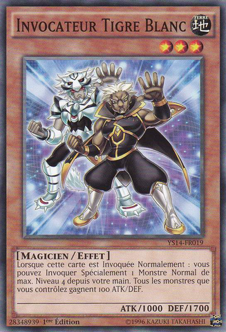 File:WhiteTigerSummoner-YS14-FR-C-1E.png