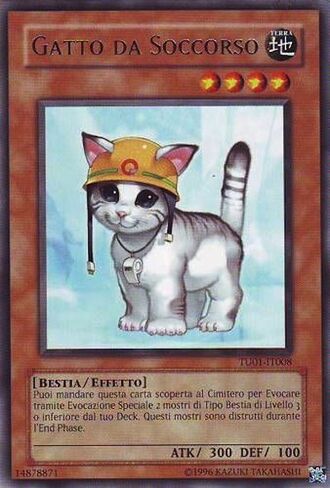 Carta-Gatto da Soccorso.jpg