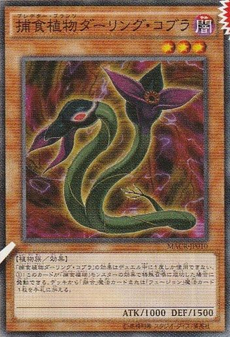 File:PredaplantDarlingtoniaCobra-MACR-JP-OP.png