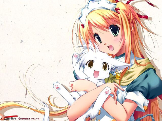 File:Anime wallpaper (1).jpg