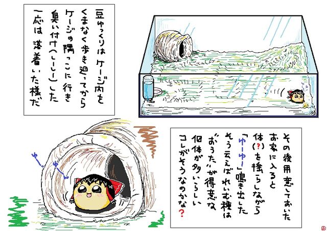 File:18599187.jpg