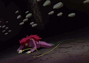 Rocass.png