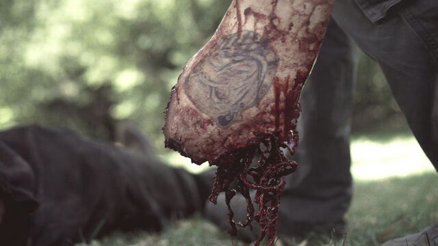 Fichier:Z-Nation-Gallery-307Recap-01.jpg