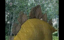 Stegosaurus Plates