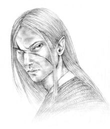 Isengrim Faoiltiarna