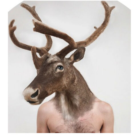 File:Elk-0.jpg