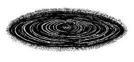 Smeiks Auge im Wasser