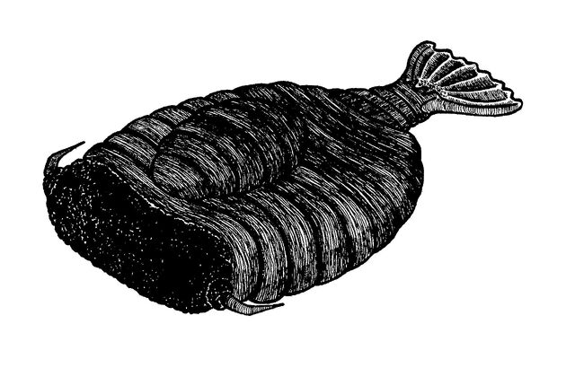 Datei:Raumschiff.jpg